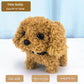 🔥 Realistic Toy Dog 🐶