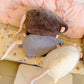 🐭💖Cute Plush Rat Toy & Pillow